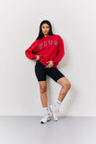 Red Crew Neck Embroidered Sweater