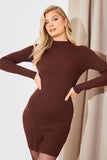 High Neck Variegated Rib Mini Dress